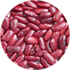 Kidneybohnen als Eiweißquelle